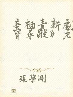 辛柏青新剧《护宝寻踪》免费观看