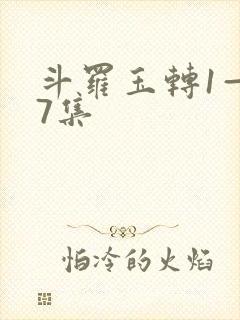 斗罗玉转1—37集