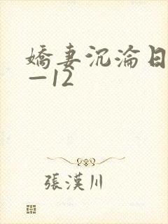 娇妻沉沦日记1—12封面
