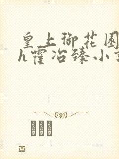 皇上御花园hlh霍冶臻小说封面