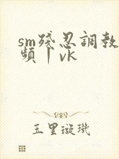 sm残忍调教视频丨vk