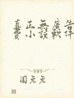 真正无广告的免费小说软件