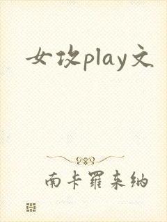 女攻play文