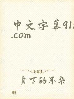 中文字幕91n.com封面