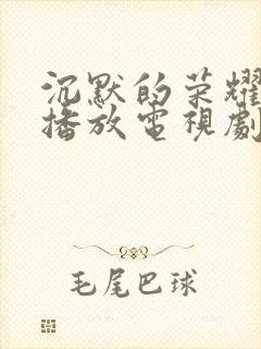 沉默的荣耀免费播放电视剧封面