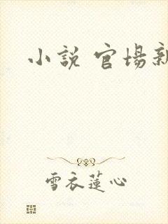 小说 官场新贵封面