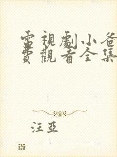 电视剧小爸爸免费观看全集国语版