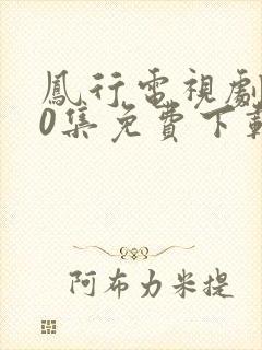 凤行电视剧全40集免费下载