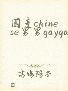 国产chinese男男gaygay1069