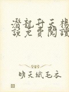 潜龙升天杨靖小说免费阅读