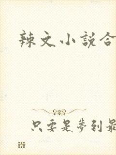 辣文小说合集封面
