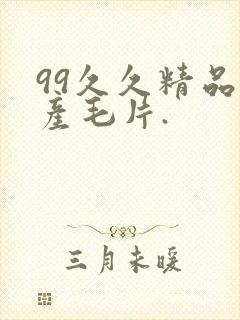 99久久精品国产毛片.