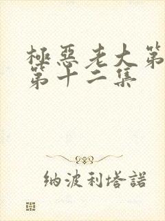 极恶老大第二季第十二集封面