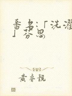 番名:「洗濯屋」芬思