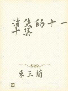 消失的十一层二十集