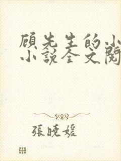 顾先生的小娇妻小说全文阅读