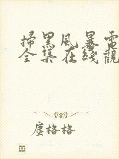 扫黑风暴电视剧全集在线观看