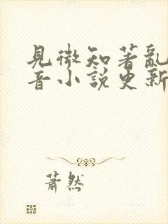 见微知著乱世佳音小说更新完了吗