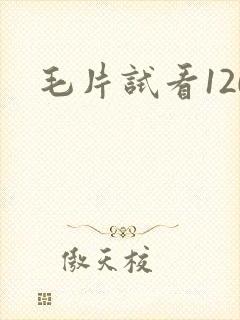 毛片试看120封面