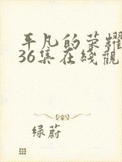 平凡的荣耀父亲36集在线观看