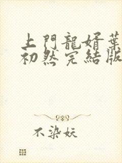 上门龙婿叶辰萧初然完结版封面