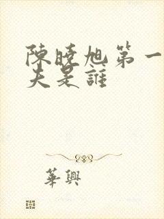 陈晓旭第一任丈夫是谁