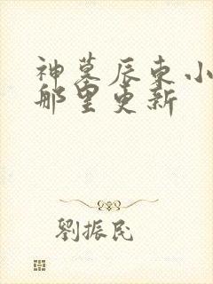 神墓辰东小说在那里更新