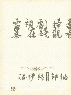 电视剧 扫毒风暴 在线观看