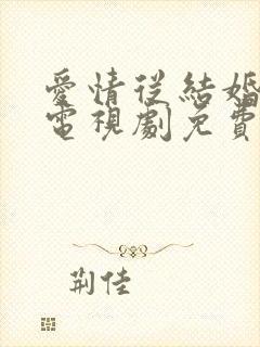 爱情从结婚开始电视剧免费观看全集
