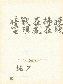暗战在拂晓之前电视剧在线观看免费