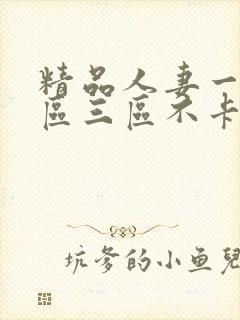 精品人妻一区二区三区不卡在线视频