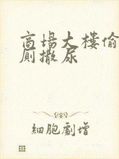 商场大楼偷拍女厕撒尿封面