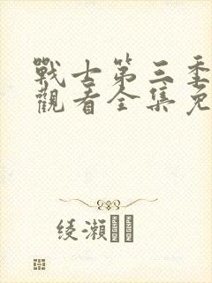 战士第三季在线观看全集免费播放