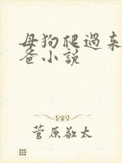 母狗爬过来叫爸爸小说