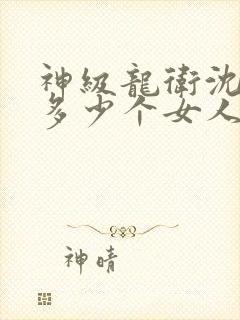 神级龙卫沈浪有多少个女人