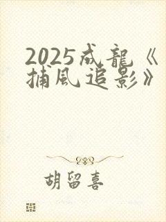 2025成龙《捕风追影》国语版在线观看