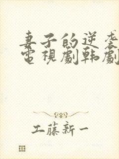 妻子的逆袭人生电视剧韩剧
