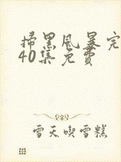 扫黑风暴完整版40集免费