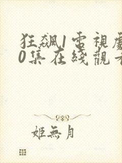 狂飙1电视剧40集在线观看免费