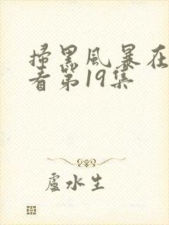 扫黑风暴在线观看第19集