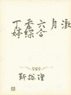 丁香六月激情婷婷综合