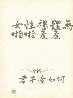 女性裸体无遮挡啪啪羞羞封面