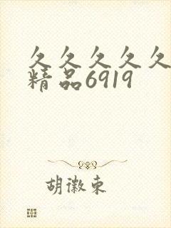 久久久久久亚洲精品6919封面