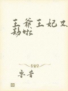 王爷王妃又去打劫啦