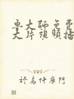 鲁大师免费观看大片视频播放