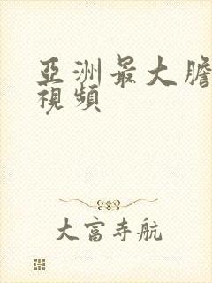 亚洲最大胆人体视频