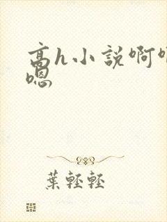 高h小说啊啊啊嗯
