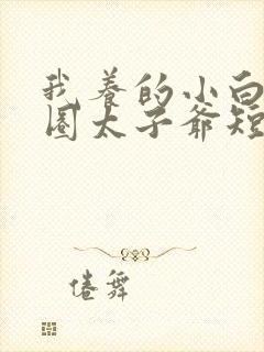 我养的小白脸京圈太子爷短剧