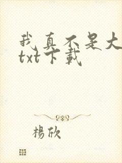 我真不是大佬 txt下载