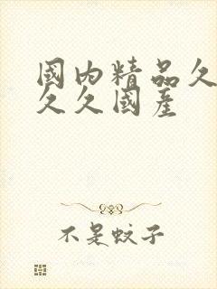 国内精品久久久久久国产